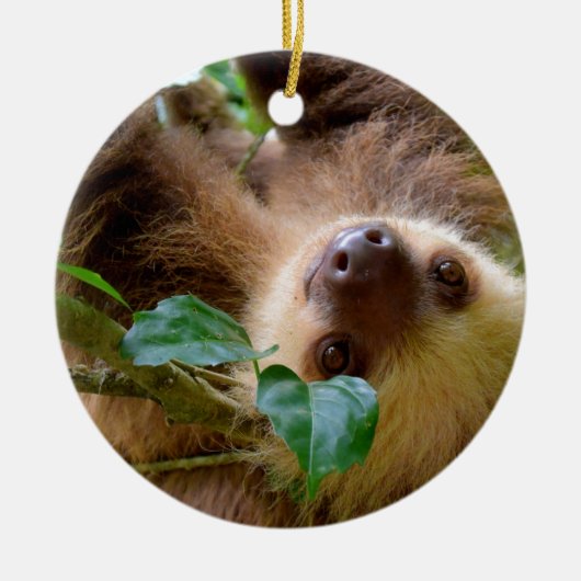 Sloth & Capybara Keramisch Ornament (Voorkant)