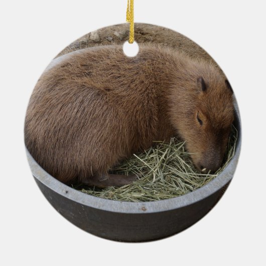 Sloth & Capybara Keramisch Ornament (Achterkant)