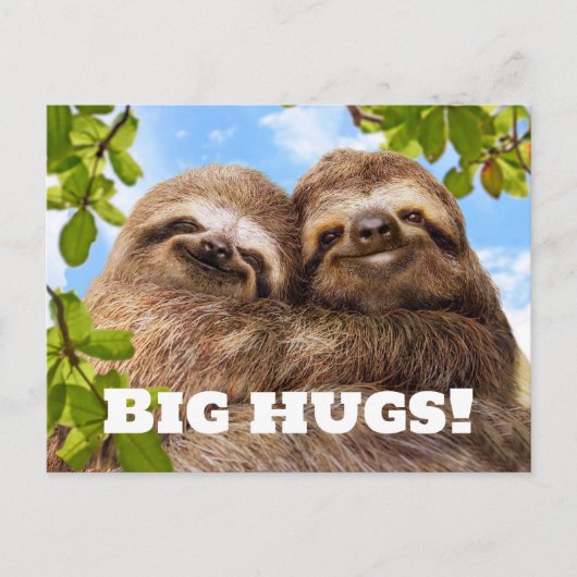 Sloth Couple Briefkaart (Voorkant)