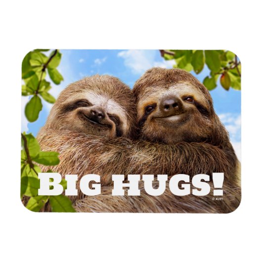 Sloth Couple Magneet (Horizontaal)