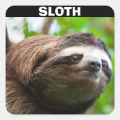 Sloth Face Vierkante Sticker (Voorkant)