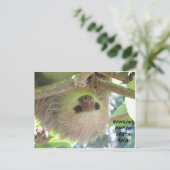 Sloth Hanging Around in Costa Rica Briefkaart (Staand voorkant)