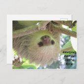 Sloth Hanging Around in Costa Rica Briefkaart (Voorkant / Achterkant)
