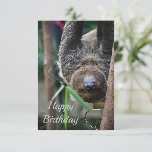 Sloth Hanging Out Edinburgh Zoo Kaart (Staand voorkant)