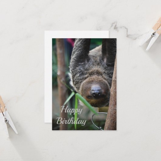 Sloth Hanging Out Edinburgh Zoo Kaart (Voorkant / Achterkant in situ)