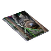 Sloth Hanging Out Edinburgh Zoo Kaart Notitieboek (Rechterzijde)