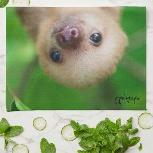 Sloth Kitchen Towel Theedoek (Gevouwen)