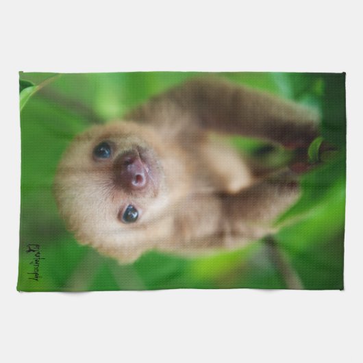 Sloth Kitchen Towel Theedoek (Horizontaal)