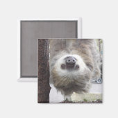 Sloth Magnet (Voorkant / Achterkant)