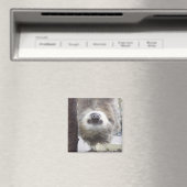 Sloth Magnet (Insitu (Vaatwasser))