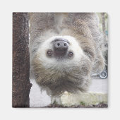 Sloth Magnet (Voorkant)