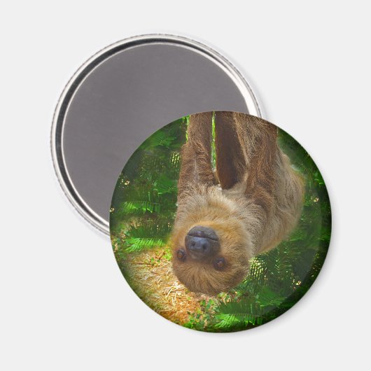 Sloth Magnet (Voorkant / Achterkant)