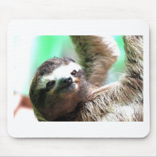Sloth Mousepad Muismat