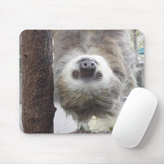 Sloth Mousepad Muismat (Met muis)