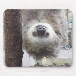 Sloth Mousepad Muismat