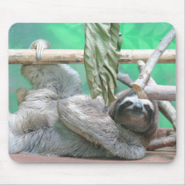Sloth Mousepad Muismat