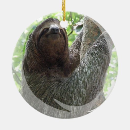 Sloth Ornament (Achterkant)