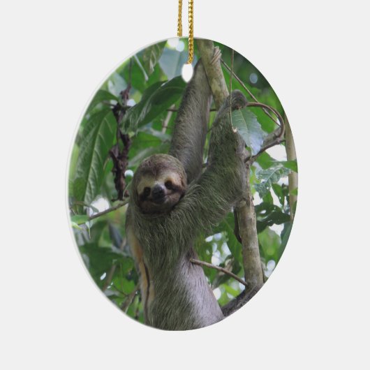 Sloth Ornament (Rechts)