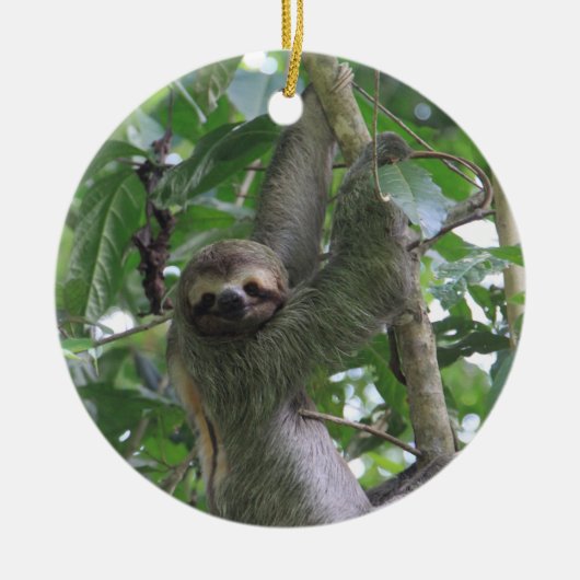Sloth Ornament (Voorkant)