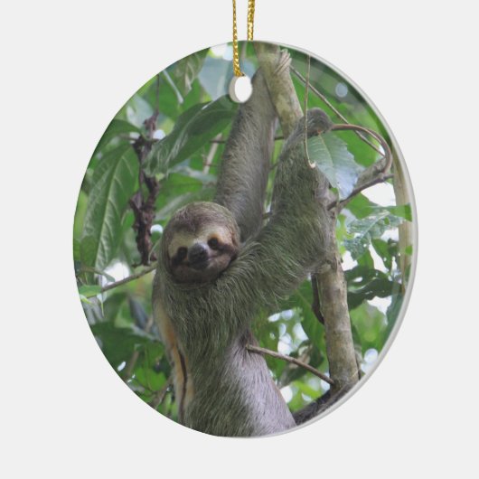 Sloth Ornament (Links)