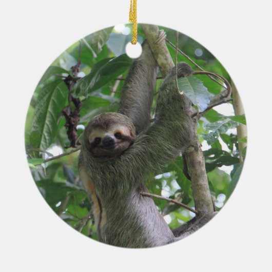Sloth Ornament (Achterkant)