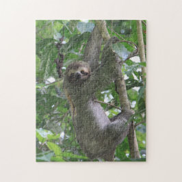 Sloth Puzzle Legpuzzel