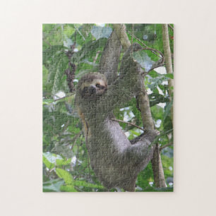 Sloth Puzzle Legpuzzel