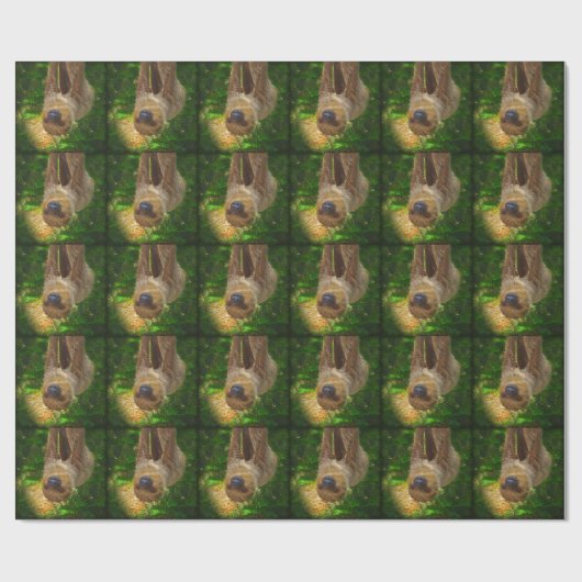 Sloth Rainforest Gifts Cadeaupapier (Vlak)