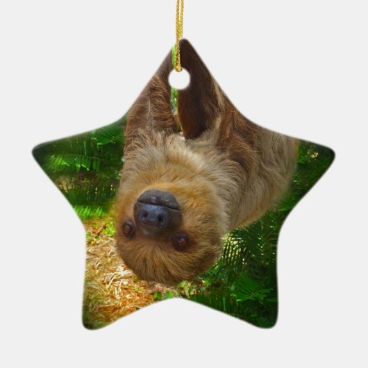 Sloth Rainforest Gifts Keramisch Ornament (Voorkant)