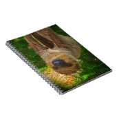 Sloth Rainforest Gifts Notitieboek (Rechterzijde)