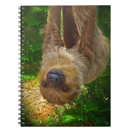 Sloth Rainforest Gifts Notitieboek (Voorkant)