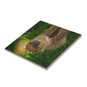 Sloth Rainforest Gifts Tegeltje (Zijkant)