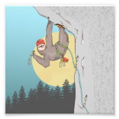 Sloth Rock climbing Foto Afdruk (Voorkant)