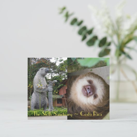 Sloth Sanctuary Briefkaart (Staand voorkant)