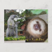 Sloth Sanctuary Briefkaart (Voorkant)