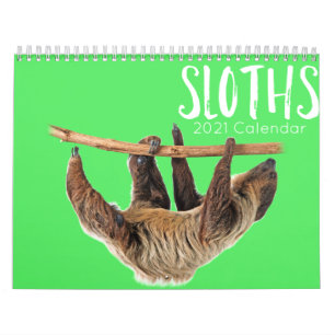 Sloths 2021-kalender grappig en schattig verhaal kalender