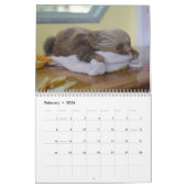 Sloths 2023-kalender grappig en schattig verhaal kalender (Feb 2026)
