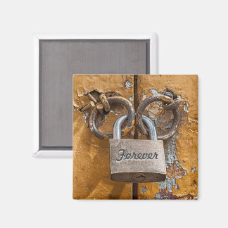 Slotje van de Liefde op een Versleten Antieke Deur Magneet