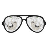 Slotpartij Aviator Zonnebril (Voorkant)