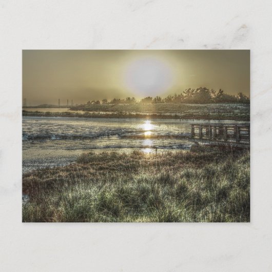 Slough at Dawn Briefkaart (Voorkant)
