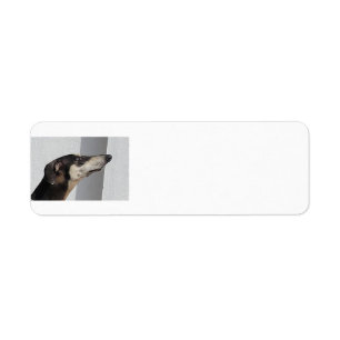 Sloughi.png Etiket