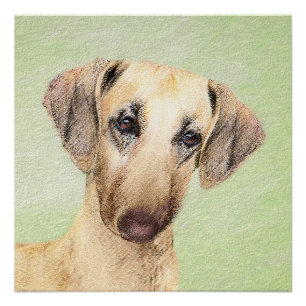 Sloughis Painting - Cute Original Dog Art Perfect Poster