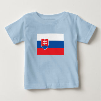 Slovakia Flag