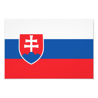 Slovakia Flag Foto Afdruk