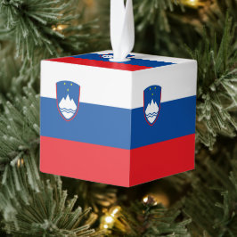 Sloveense vlag decoratie