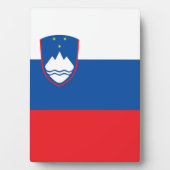 Sloveense vlag fotoplaat (voorkant)