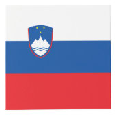 Sloveense vlag kubus (Rechts)