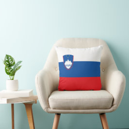 Sloveense vlag kussen