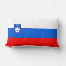 Sloveense vlag kussen