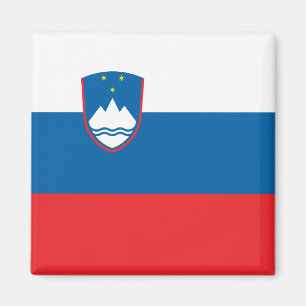 Sloveense vlag magneet